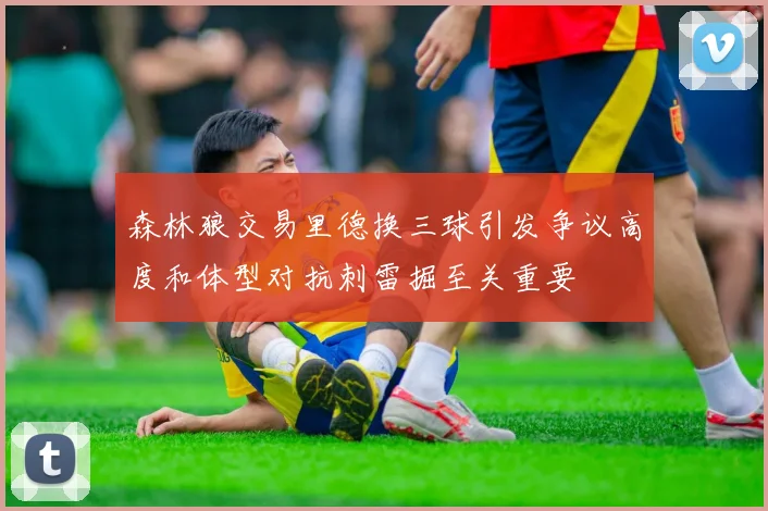森林狼交易里德换三球引发争议高度和体型对抗刺雷掘至关重要